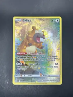 Bidoof GG29/GG70 Holo Crown Zenith Galarian Gallery Pokemon NM DE - Image 1