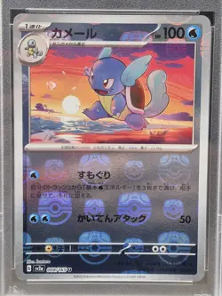 Pokemon Wartortle Foil TCG Card 008/165 Master Ball 2023 SV2a Japanese PSA 10 - Image 3