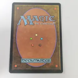 Magic The Gathering MTG Adarkar Wastes Ice Age Rare Land Vintage 1995 Card - Image 2