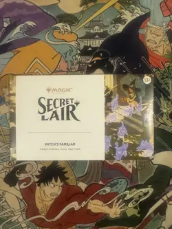 MTG Secret Lair Witch's Familiar FOIL Edition - Image 1