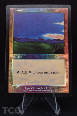 Plains - 2001 Magic the Gathering - Arena Promos Foil - Image 1