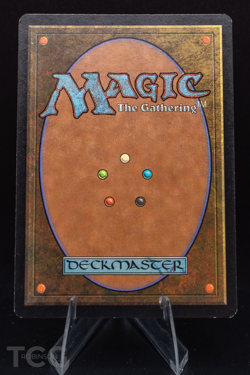 Plains - 2001 Magic the Gathering - Arena Promos Foil - Image 2