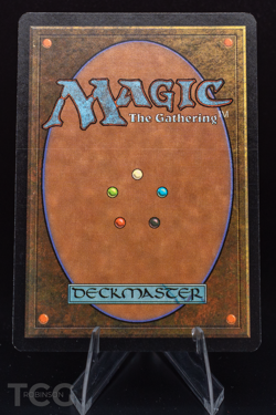 Plains - 2001 Magic the Gathering - Arena Promos Foil - Image 2