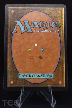 Plains - 2001 Magic the Gathering - Arena Promos Foil - Image 2