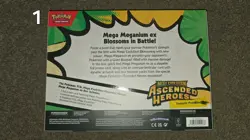 Pokemon TCG Mega Evolution - Ascended Heroes Mega Meganium ex Box Promo Box - Image 2