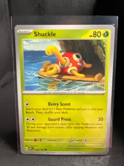 Shuckle 005/197 Common Obsidian Flames Pokemon Near Mint - Image 1