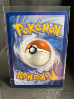 Shuckle 005/197 Common Obsidian Flames Pokemon Near Mint - Image 2