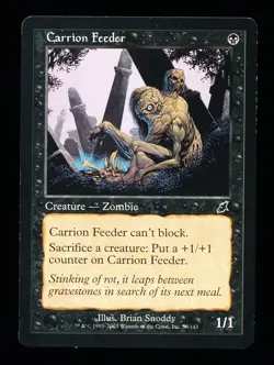 * * 1x Carrion Feeder x1 * * Scourge MTG LP Lightly Played - Image 1