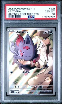 Pokemon PSA 10 N's Zorua #SVP189 Avventure Insieme Promo 2025 Italiano - Image 2