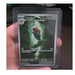 Pokemon Accelgor 094/086 Sv: White Flare Illustration Rare Holo Card English - Image 1