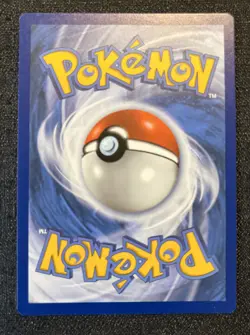 Yveltal 19/25 25th Ann. Celebrations Holo Pokemon NM Illustrator Akira Egawa - Image 2