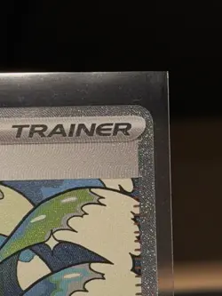Surfer 293/217 Special Illustration Rare Ascended Heroes Pokemon Holo Near Mint - Image 3