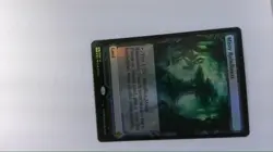 Mtg Misty Rainforest Zendikar Rising Expeditions foil - Image 1