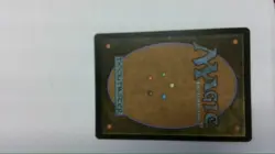 Mtg Misty Rainforest Zendikar Rising Expeditions foil - Image 3