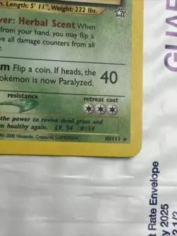 Pokemon TCG Neo Genesis Meganium 10/111 Holo Rare Unlimited 100 HP Eng 2000 - Image 3
