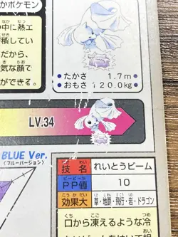 Pokemon Carddass Card Dewgong File No. 87 Bandai Pocket Monsters 1997 Japan - Image 3