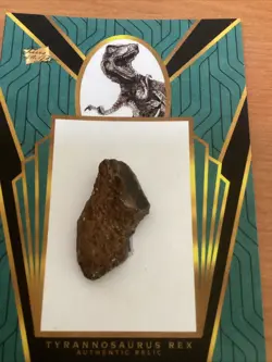Real Dinosaur Tooth Tyrannosaurus T-Rex Relic Card Pieces Of The Past #OTSO-13 - Image 2