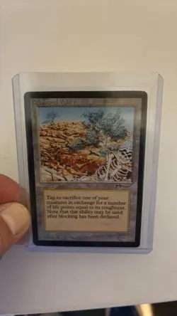 MTG Vintage 1993 Diamond Valley From Arabian Nights NM (GREAT CONDITION) - Image 1