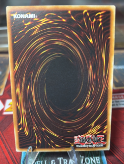 Yugioh The Gaze of Timaeus SCR - Maze of Muertos MZMU-EN013 1st Edition NM - Image 2