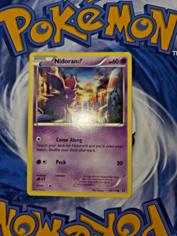 Pokemon TCG Nidoran (Male) Steam Siege 43/114 Common CCG Card Near Mint - Image 1