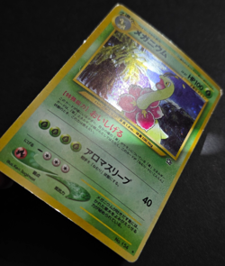MP-HP Meganium No.154 Gold, Silver, to a New World 2000 Japanese Pokemon TCG - Image 3