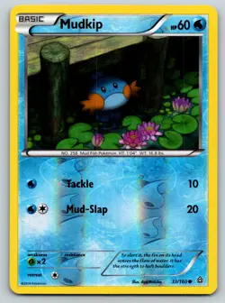 Mudkip 33/160 Common Primal Clash Pokemon Reverse Holo Lightly Played - Image 1