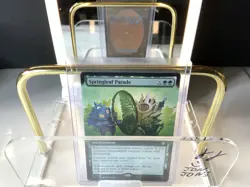 MTG English Springleaf Parade (Extended Art) NM Normal - Image 1