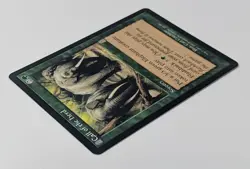 Call of the Herd - Magic The Gathering MTG - Odyssey! - Image 4