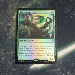 MTG FOIL Managorger Hydra Promo Pack stamped - Image 1