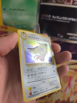 Pokemon Karte Card Tauboss Pidgeot Jungle Dschungel 1997 Holo Wotc japanese LP - Image 5