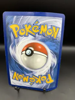 Pikachu & Zekrom Marowak Black Star Promo Lot of 3 Jumbo Cards DMGD Pokemon TCG - Image 5
