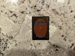 Mtg Demonic Torment FBB - Magic the Gathering Foreign Black Border LP Oop - Image 2