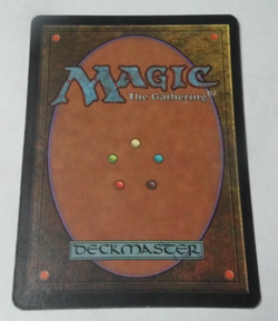 x1 Lotus Petal Tempest MTG Magic the Gathering TexasNerdGames DSC - Image 3