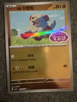 Pokemon TCG Holo Card Lot - Rockruff, Magneton, Raboot, Chinese, 5 cbb5C - Image 2