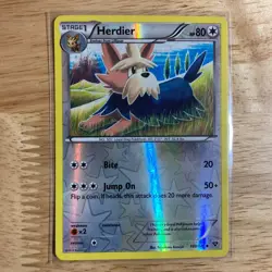 Herdier 109/146 XY Reverse Holo - Pokemon TCG 2014 - LP - Image 1