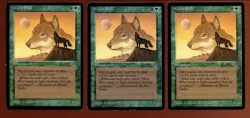 3x Wyluli Wolf Common Arabian Nights Ex/LP Magic the Gathering MTG - Image 1
