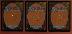 3x Wyluli Wolf Common Arabian Nights Ex/LP Magic the Gathering MTG - Image 2
