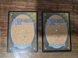 MTG - Banner of Kinship - Foundations - NM - Image 2