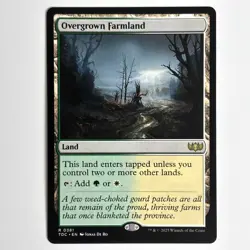 OVERGROWN FARMLAND MTG TDC - CARTE MAGIC THE GATHERING EN NEUF - Image 1