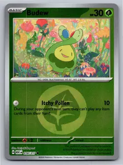 Budew (Energy Symbol Pattern) 016/217 Ascended Heroes Pokemon Reverse Holo NM - Image 1