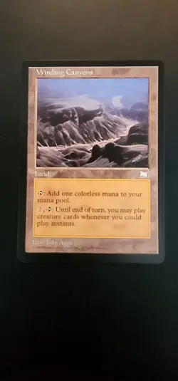 MTG Winding Canyons Weatherlight Land - in NM Condition - Image 1