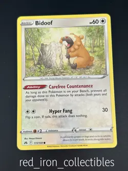 Bidoof 111/159 Common Sword & Shield Crown Zenith Pokemon Card 2023 TCG - Image 1