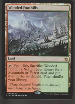 MTG Wooded Foothills [KTK] #249 LP en - Image 1