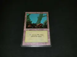 MTG 1x Revised common basic land MP French FBB Forest - ships w/ tracking - Image 1