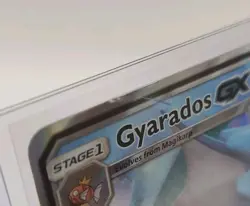 2019 Pokemon TCG Hidden Fates Gyarados GX SM212 Black Star Promo LP - Image 4