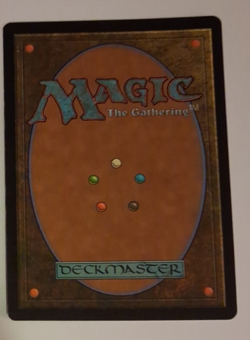 Evasive Action HP FOIL MTG Apocalypse Magic the Gathering - Image 2