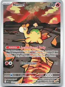 Numel 223/217 Illustration Rare Ascended Heroes Pokemon Near Mint - Image 1