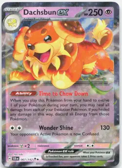 Dachsbun ex 67/142 Double Rare Stellar Crown Pokemon Near Mint - Image 1