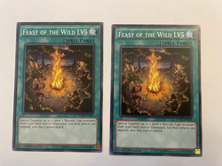 Feast of the Wild LV5 - DUEA-EN056 - Common - 1st Edition NM YuGiOh! X2 - Image 1