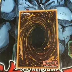 Dark Paladin DMG-001 Secret Rare Yu-Gi-Oh Promo Trading Card MP - Image 2